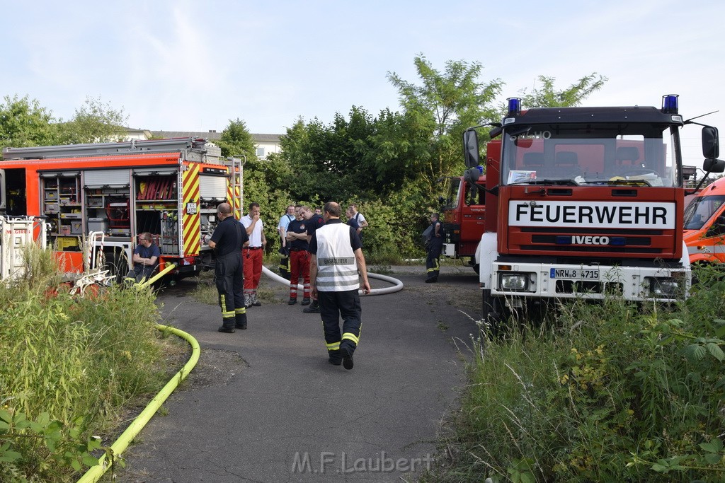 Waldbrand Koeln Hoehenhaus Hoehenfelder Mauspfad P165.JPG - Miklos Laubert